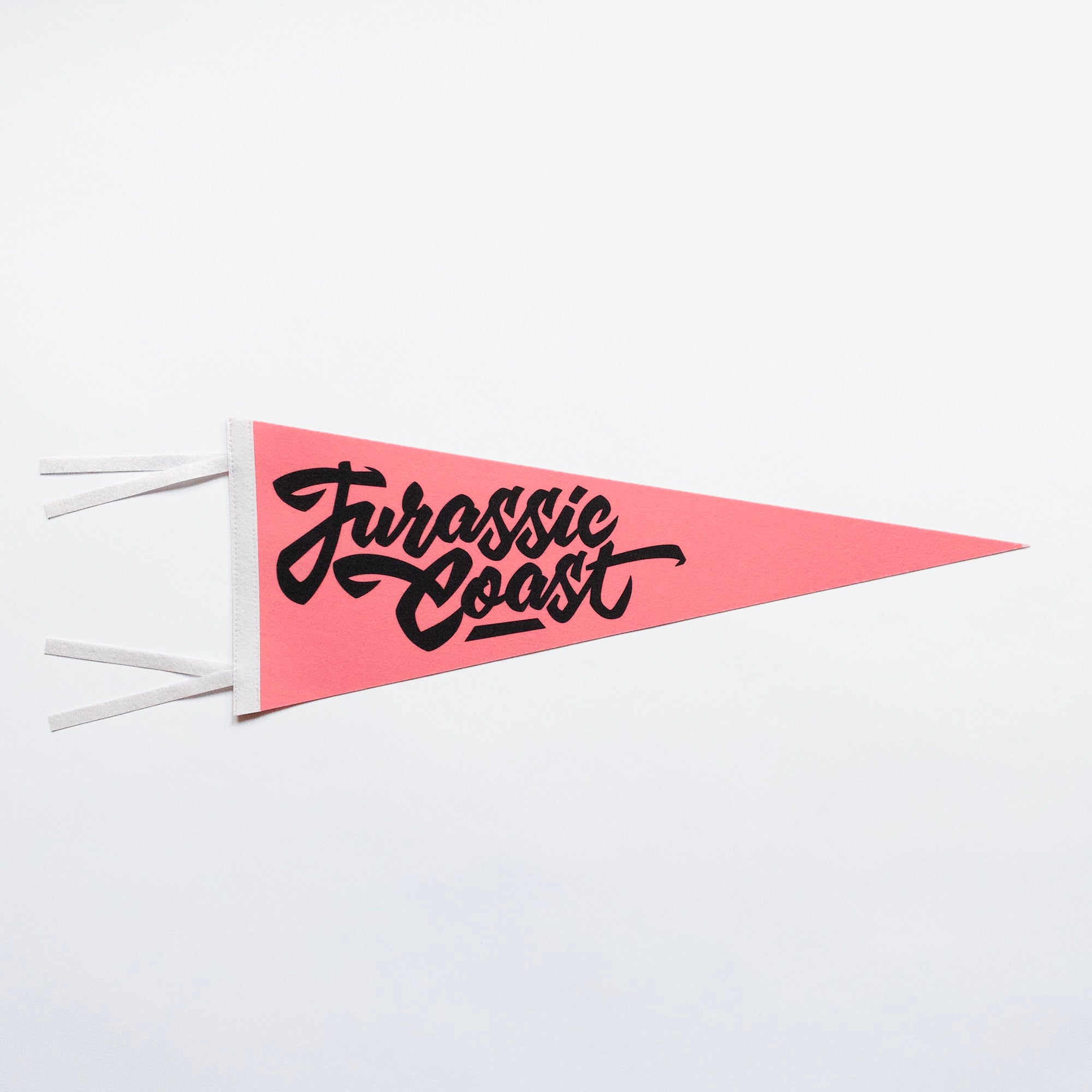 Jurassic Coast Pennant Pink, Black & White