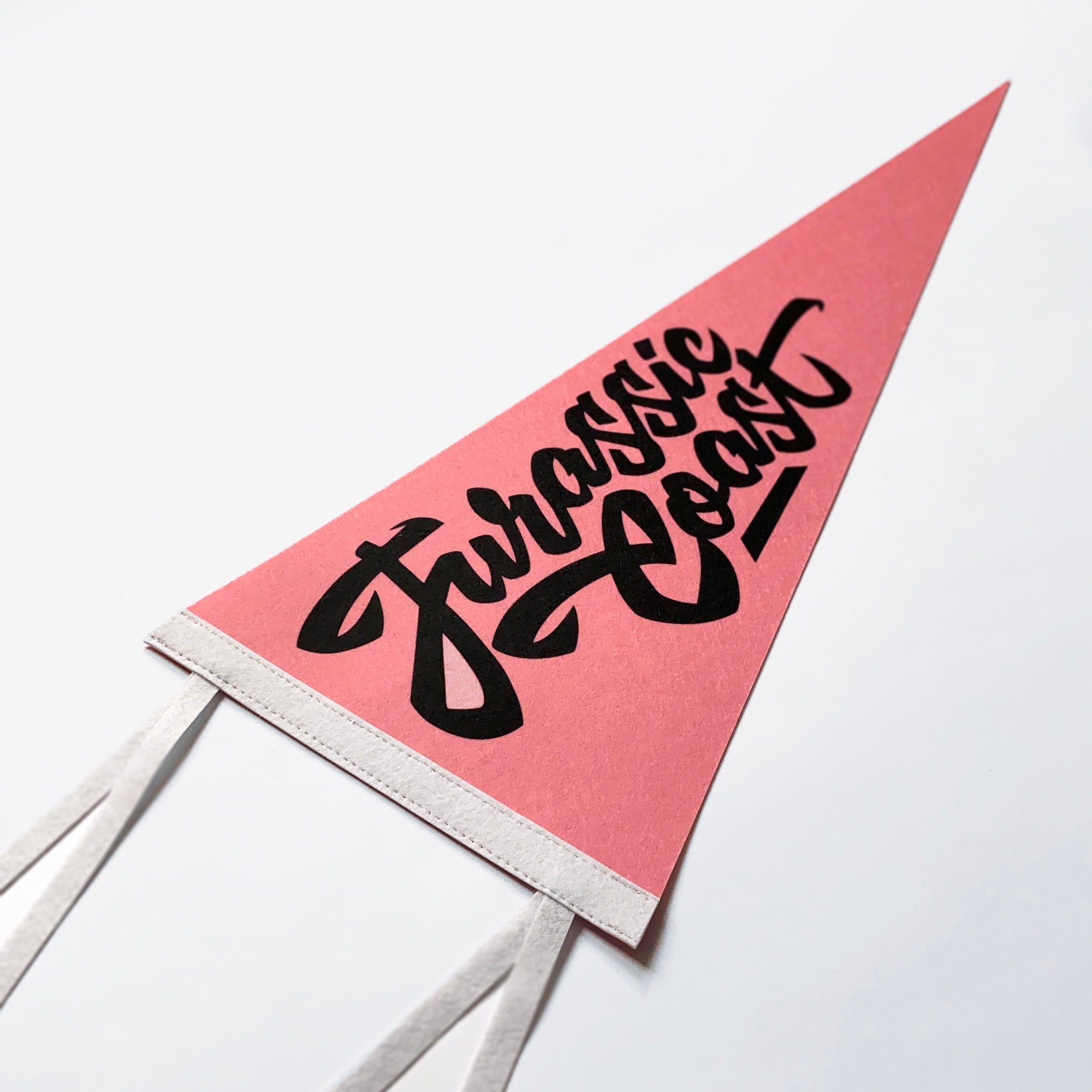 Jurassic Coast Pennant Pink, Black & White